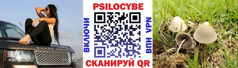 Галлюциногенные грибы Cubensis  Мурманск 