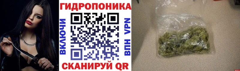 Канабис семена  дарнет шоп  Мурманск 